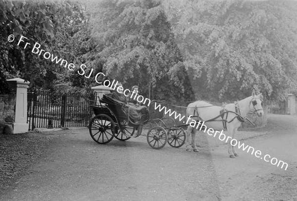 MRS FRANK LILLIS WITH MARY IN PHAETON